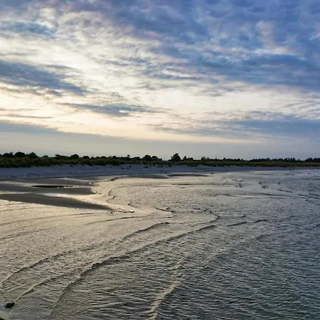 4 Star In Hals-by Traum
