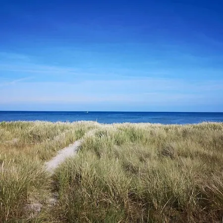 4 Star In Hals-by Traum Hals