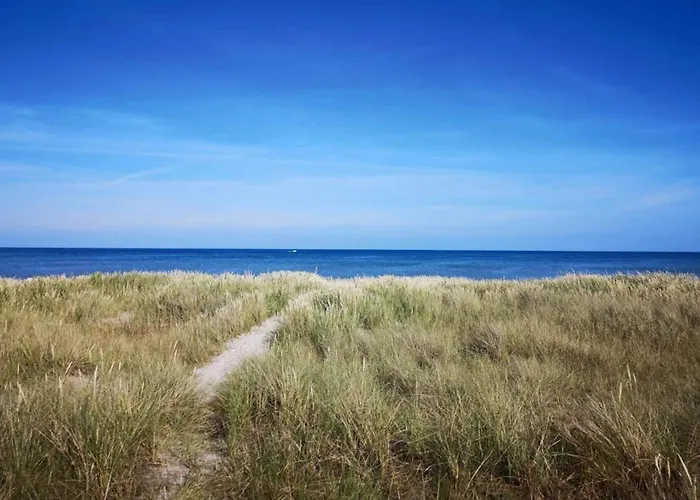 4 Star In Hals-by Traum Hals